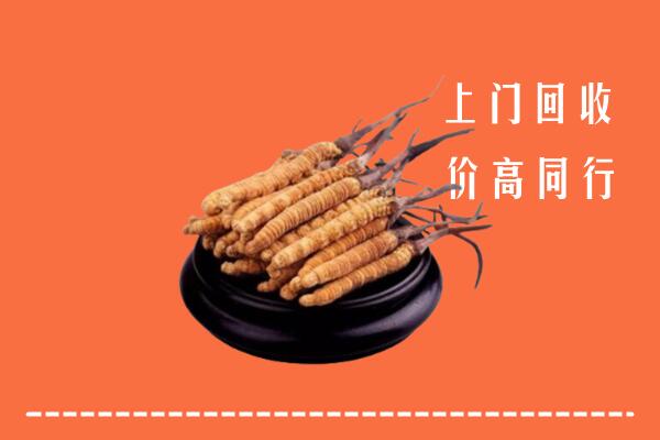 收购行情：襄阳襄州区回收散虫草